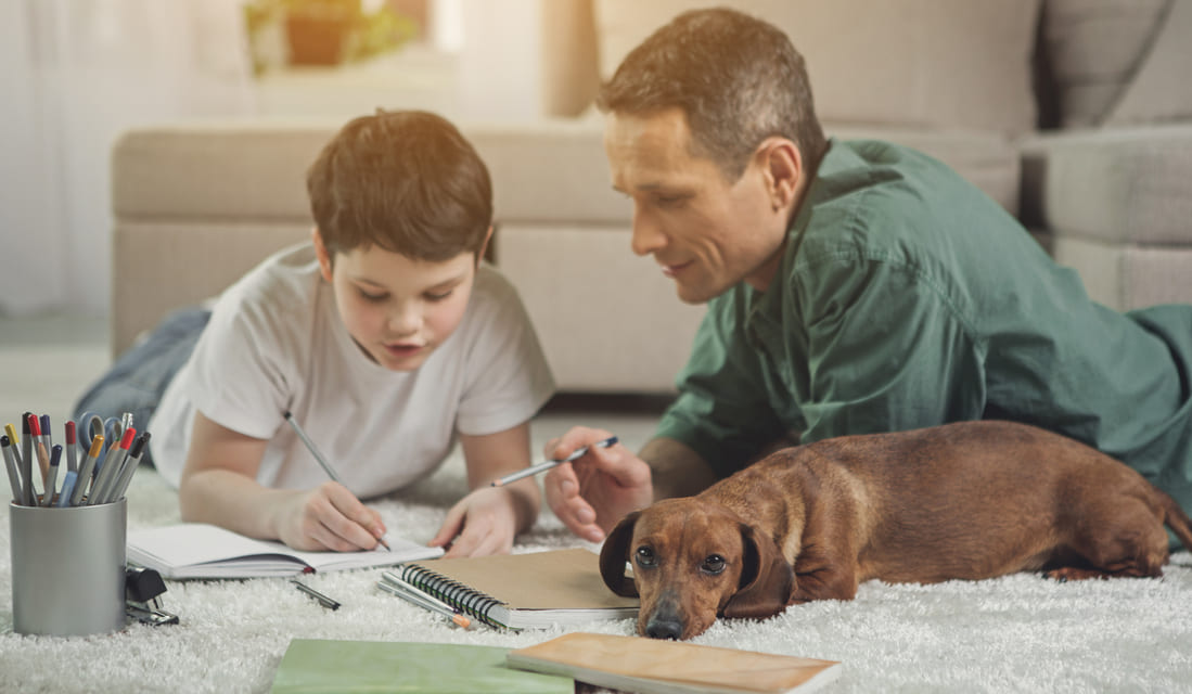 Dachshund puppy getting bored while father and son are doing math homework.